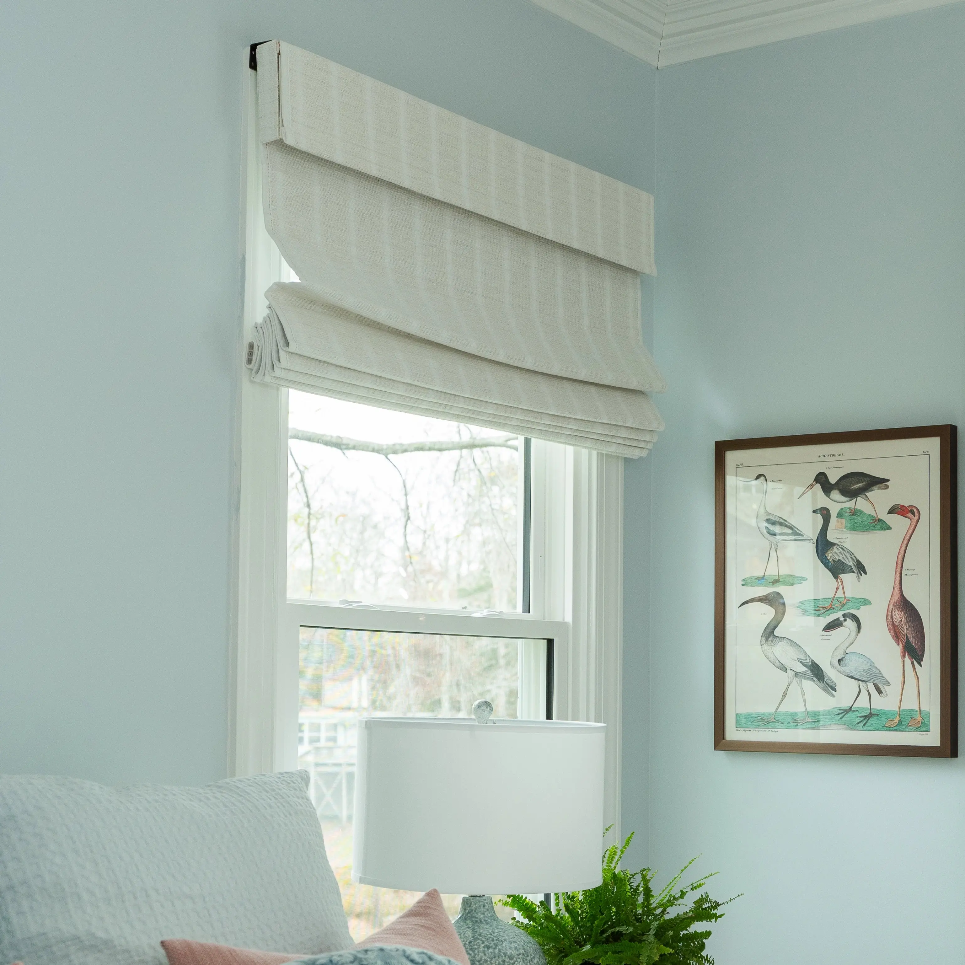 Product image 101